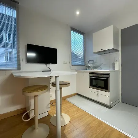 Le Kitsune - Studio Refait A Neuf Avec Parking Apartment *